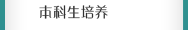 本科生培養
